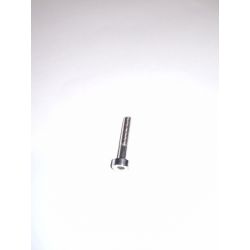 GHOST Cylindrical low head Screw M3x21, silver