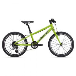Giant ARX 20 One Size Lime Punch
