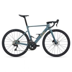 Giant EnviLiv Advanced 2 L Midnight Pine