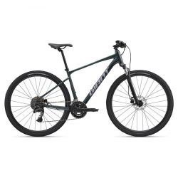 Giant Roam 2 L Asphalt Green