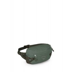 OSPREY LEDVINKA TRANSPORTER WAIST PACK PINE LEAF (10006532)