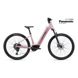 CTM ROXXY GX Pro - staroružová
