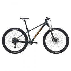 Giant Talon 29 2 S Asphalt Green