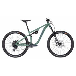 Pells Tarpan AM 1 Moss green