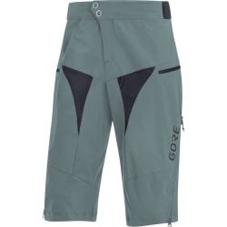 GORE C5 All Mountain Shorts-nordic-L