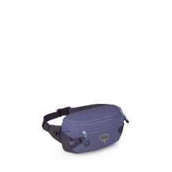 OSPREY LEDVINKA TRANSPORTER WAIST PACK EUPHORIA PURPLE (10006531)
